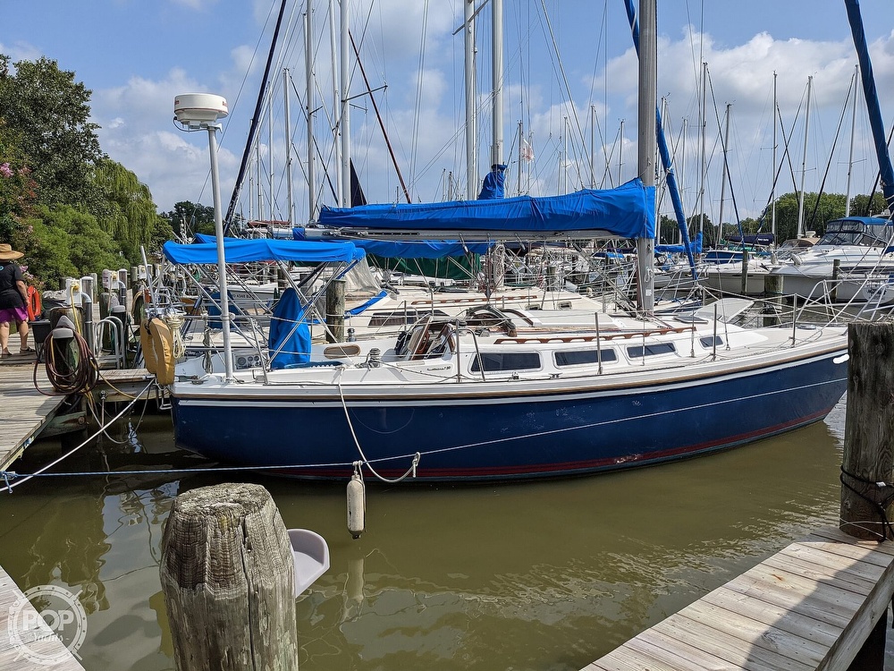 sailboat pre-purchase